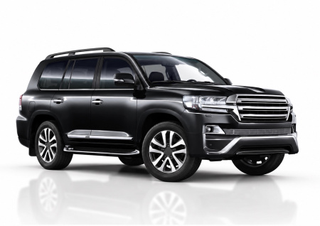 Фото изделия: Решетка бампера d10 Rival Toyota Land Cruiser 200 2015- G.5704.001