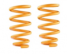 Пружины Ironman Chevrolet Colorado 7/Trailblazer 2012+ задние, лифт 40мм, нагрузка от 250кг   HOLD022C