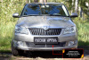 Защитная сетка решетки перед. бампера Skoda Fabia II 2010-2013 шагрень SBSF-046702