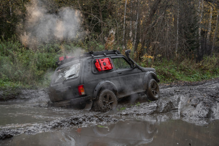 Панель на заднее левое стекло Lada Niva STC-LNI2121/77-PL