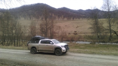 Кунг экспедиционный трехдверный KDT Toyota TUNDRA Crew Max 2007-2013  2228