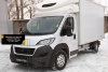 Защитная сетка решетки перед. бампера Citr Jumper/Fiat Ducato/Peug Boxer 2014- (290 кузов) SRF-134062