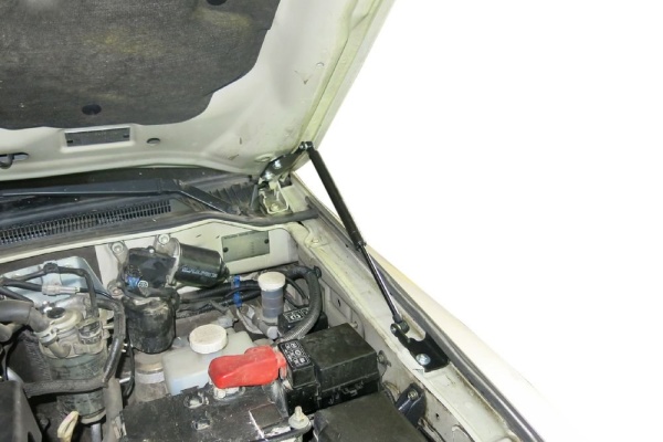 Амортизаторы капота, 2 шт. RIVAL Mitsubishi Pajero IV 2006-  A.ST.4004.1