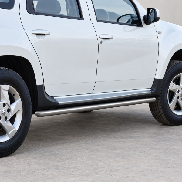 Фото для каталога: Защита порогов d42 Rival Nissan Terrano 2014-/Renault Duster 2011-2015 R.4701.007