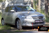 Защитная сетка решетки перед. бампера Skoda Fabia II 2010-2013 шагрень SBSF-046702