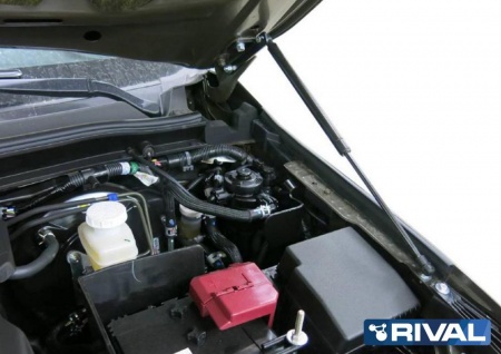 Амортизаторы капота, 2 шт. RIVAL Pajero Sport 2016-/Mitsubishi L200 2015-  A.ST.4007.1