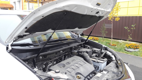 Амортизаторы капота Hilux Revo FHC-HR