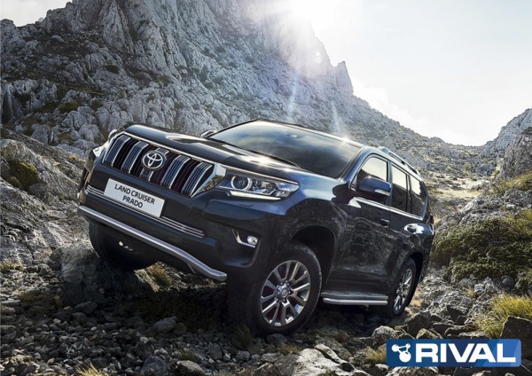 Решетка бампера d10 RIVAL Toyota Land Cruiser 150 Prado 2017-  G.5707.001