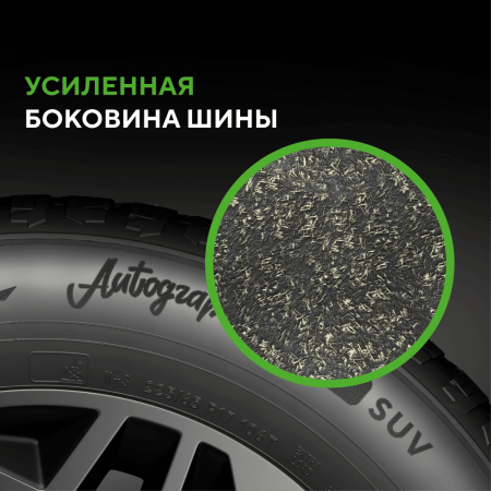 Шина IKON Tyres Autograph Ice 9 265/65 R17 116T XL SUV шипованные TS72242