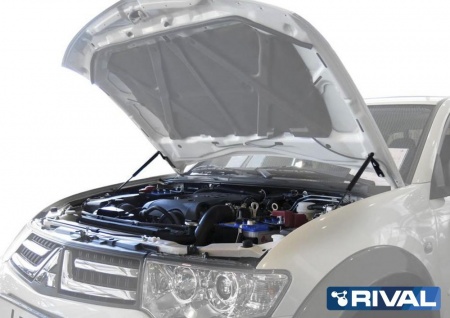 Амортизаторы капота, 2 шт. RIVAL Mitsubishi Pajero Sport 2008-2016/ L200 2006-2015  A.ST.4008.1