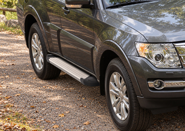 Фото изделия: Порог Silver Rival Mitsubishi/ Nissan Terrano/Renault Duster /Ssang Yong/Suzuki F173AL — изображение 1